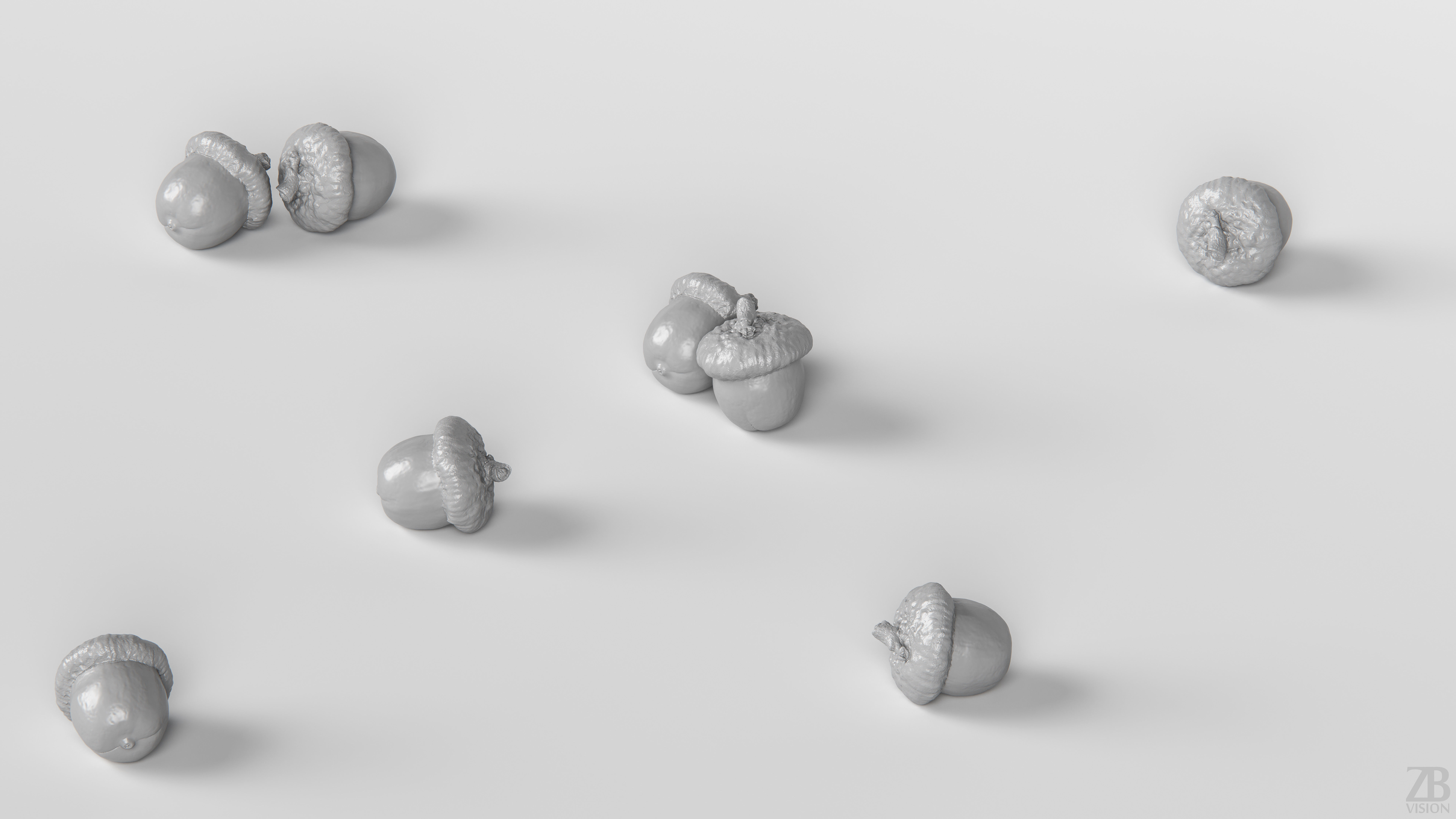 Acorn 3D model_3