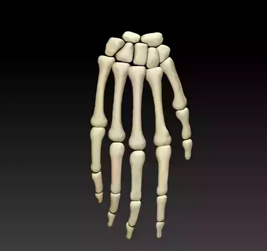 The 3D printing and downloading of human bone structure 3D print model