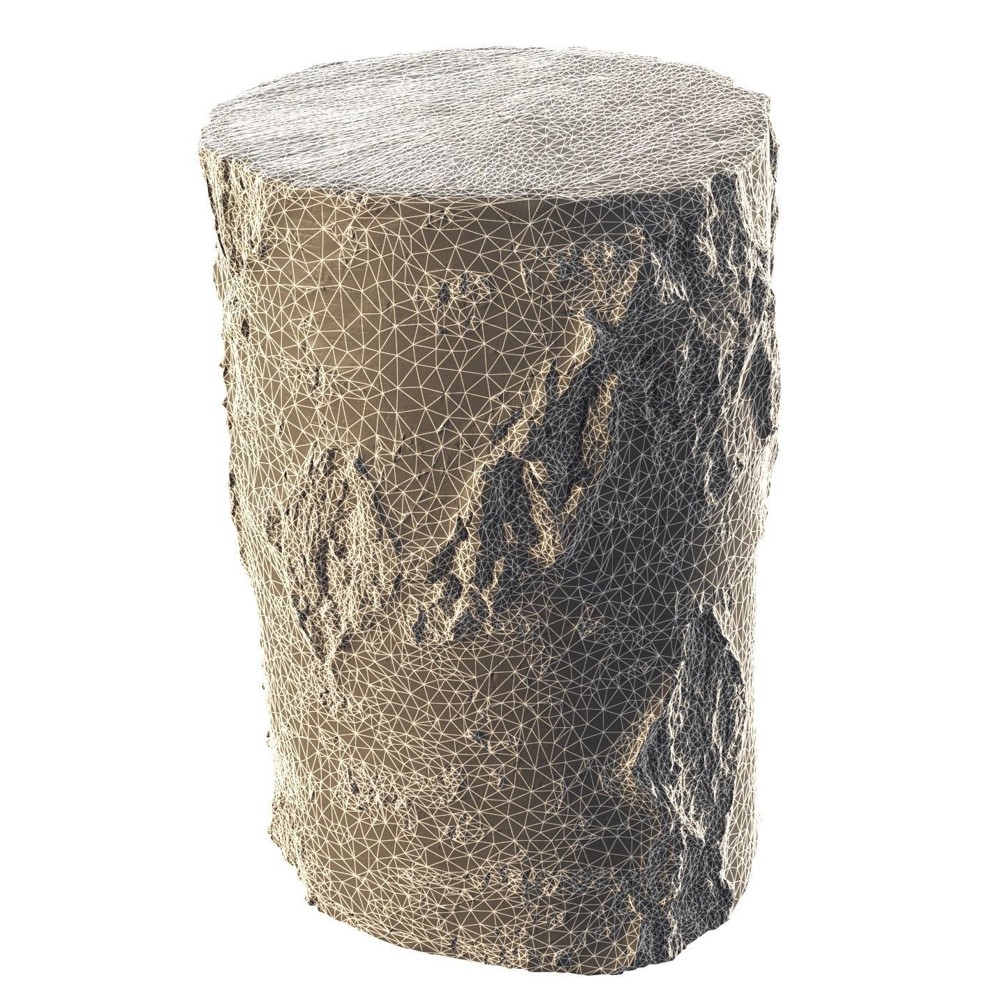 8k birch stump 3D model_8