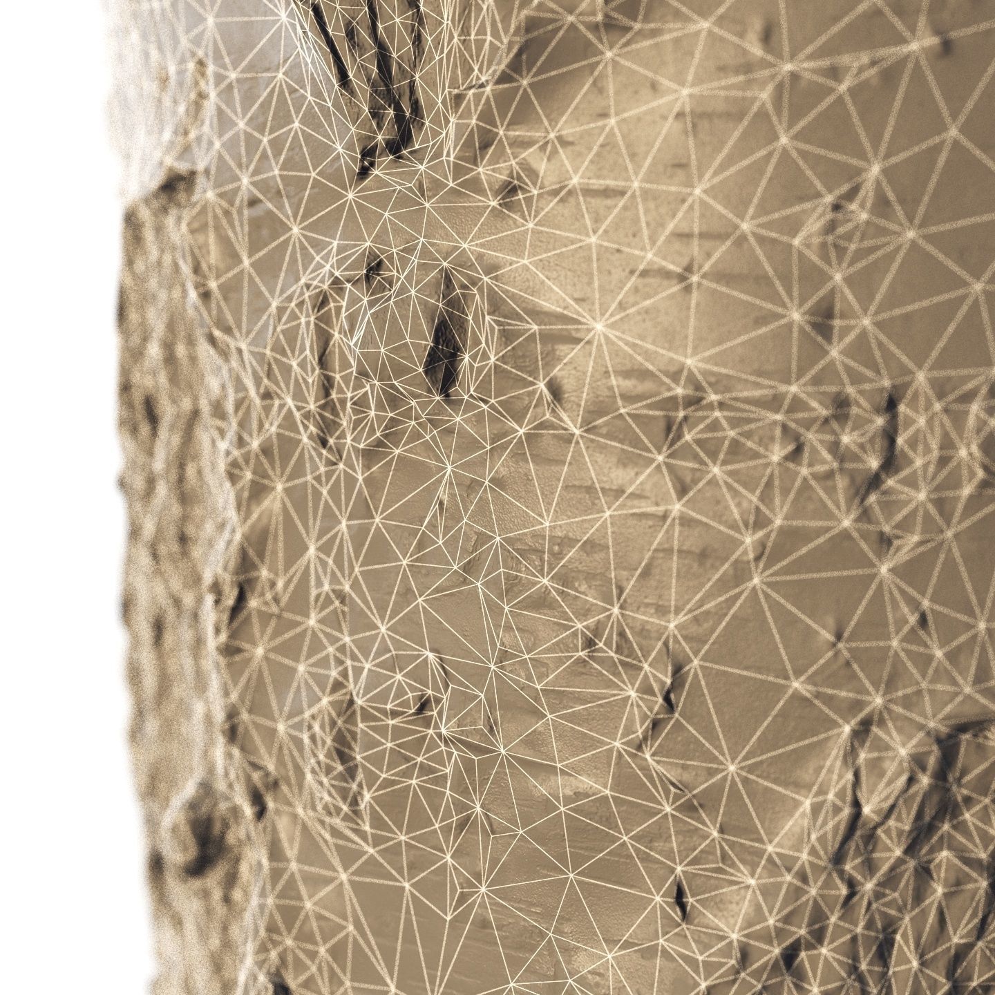 8k birch stump 3D model_12