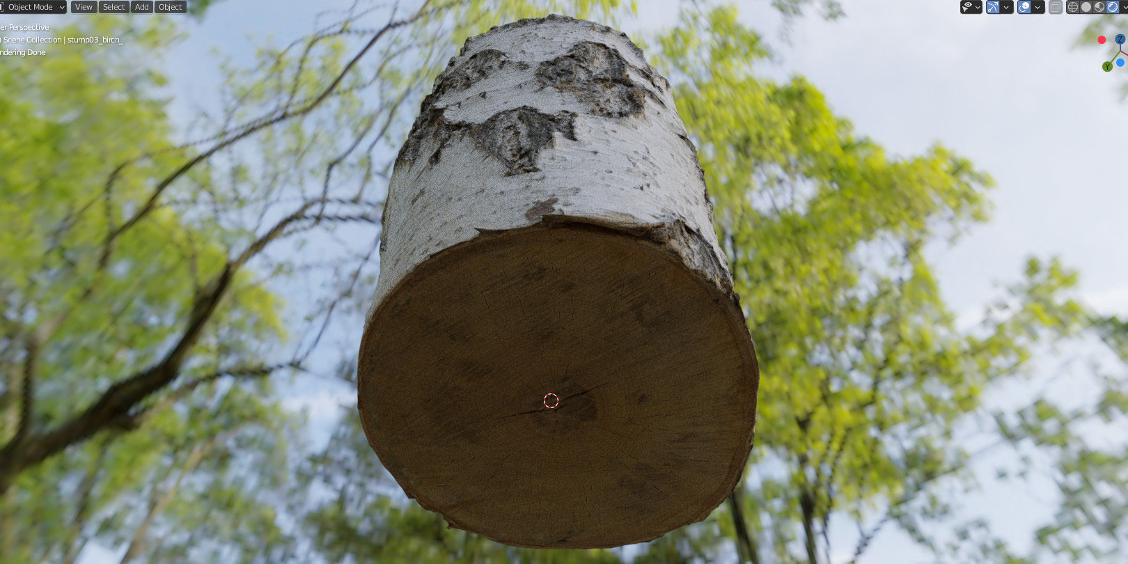 8k birch stump 3D model_19