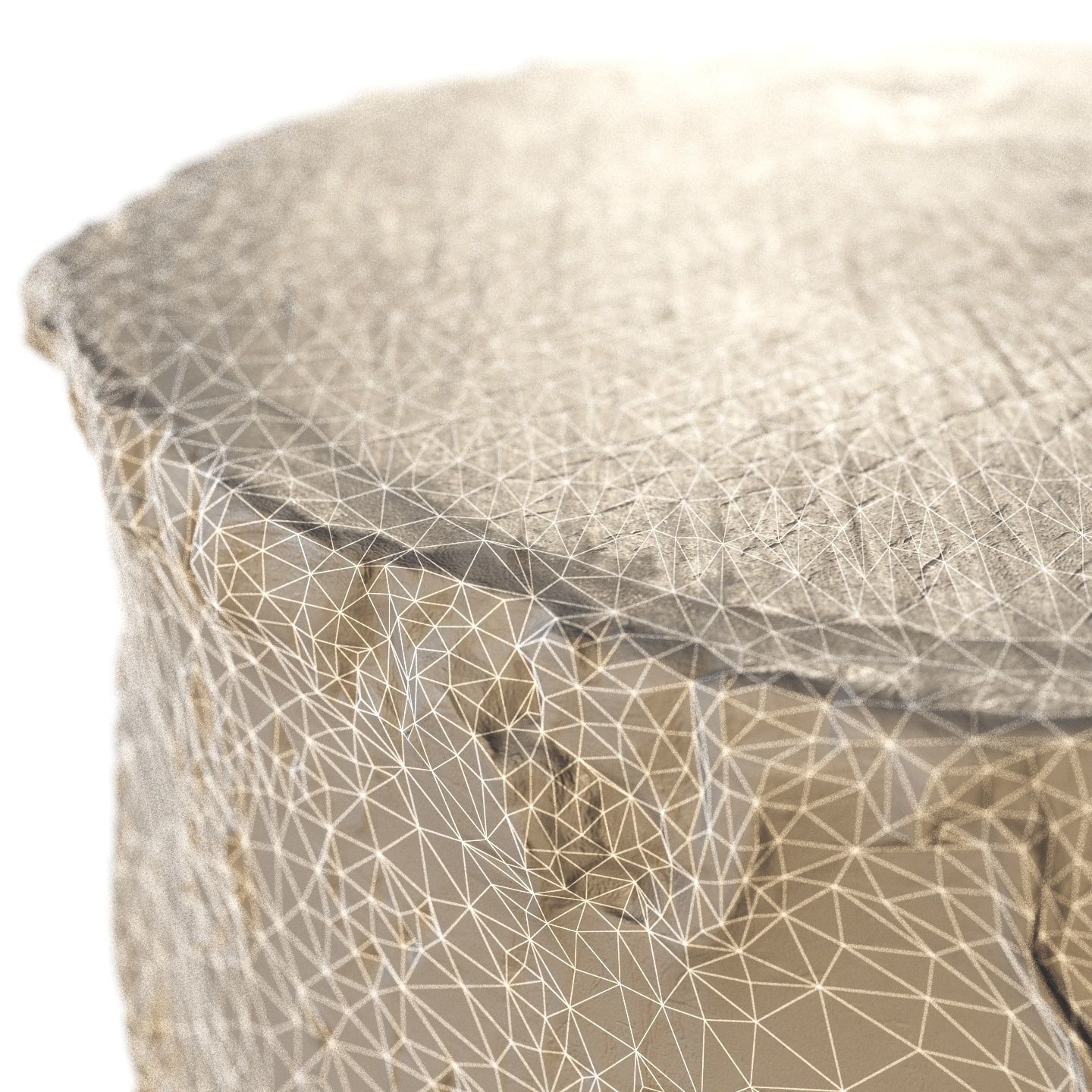 8k birch stump 3D model_10