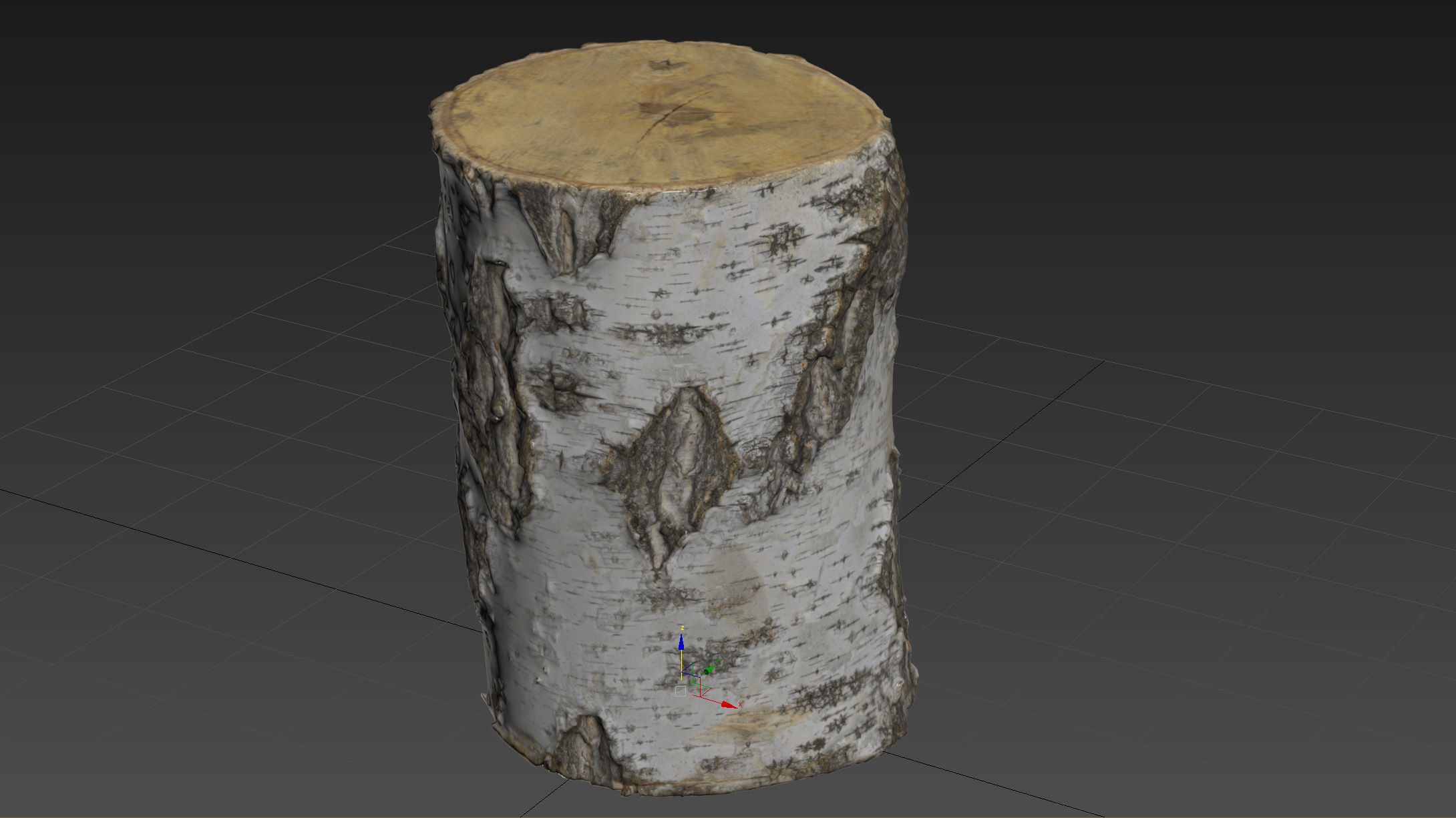 8k birch stump 3D model_16