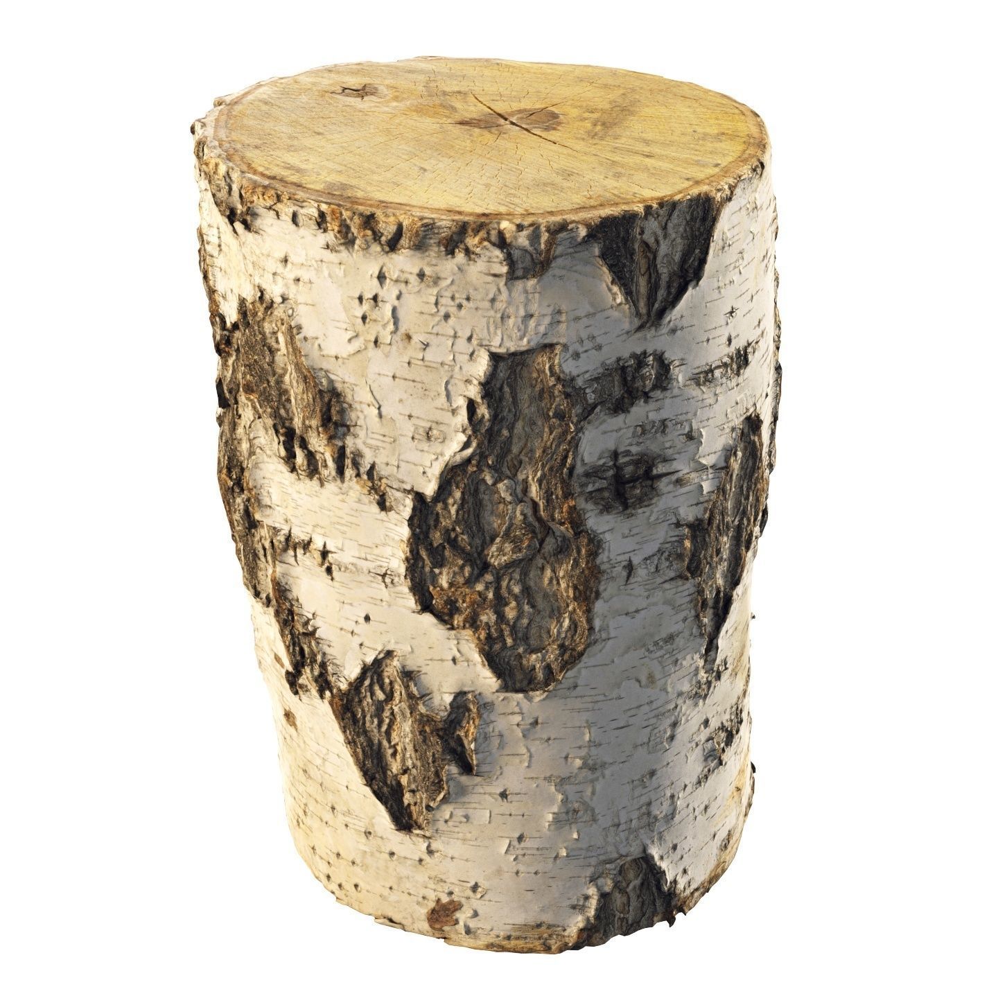 8k birch stump 3D model_5