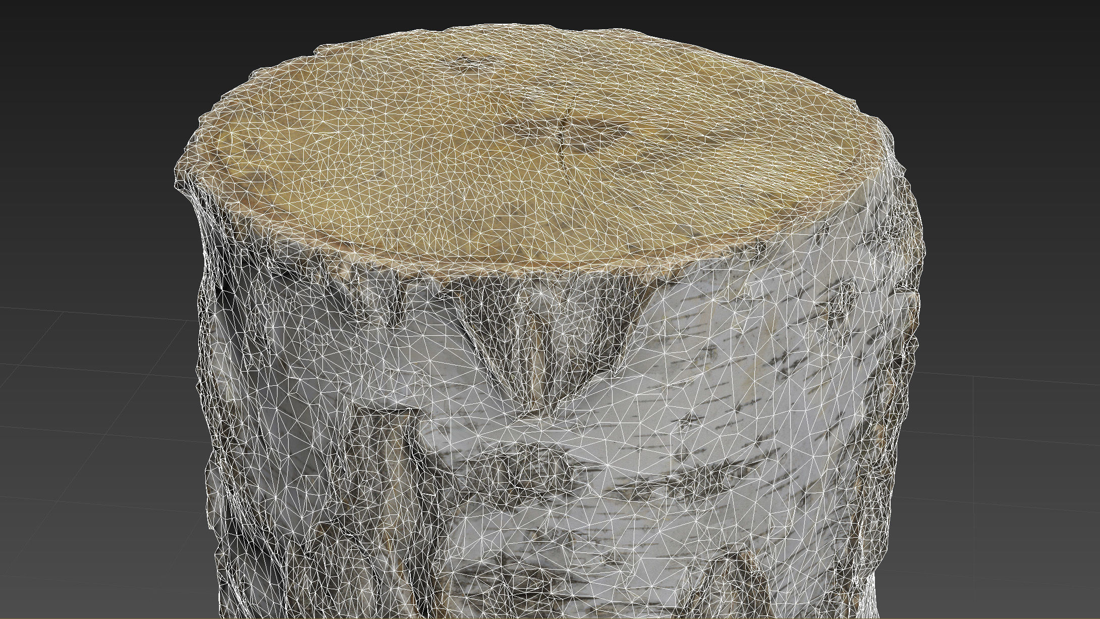 8k birch stump 3D model_13