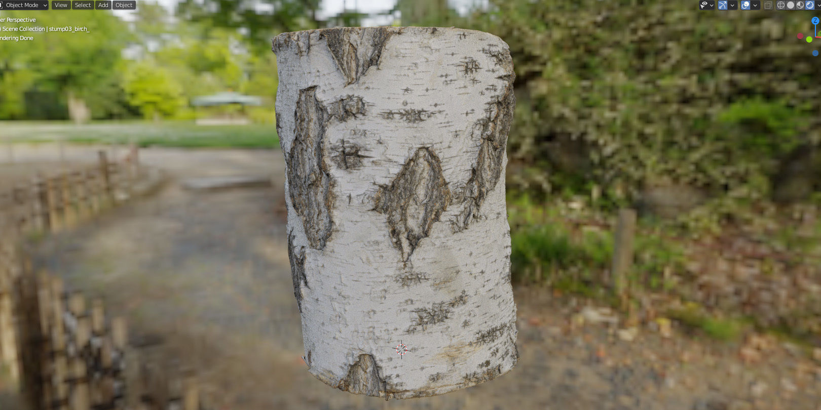 8k birch stump 3D model_20