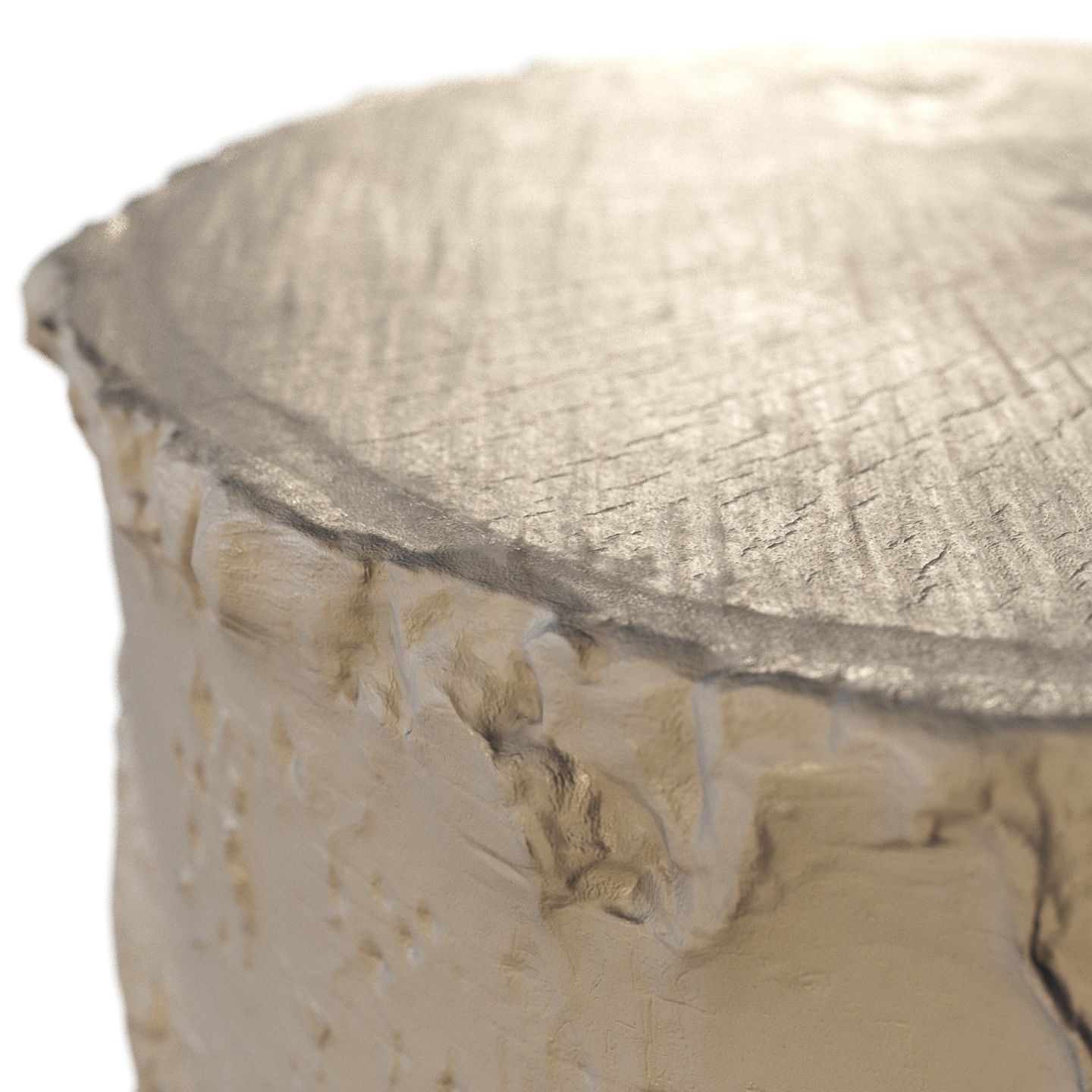 8k birch stump 3D model_9