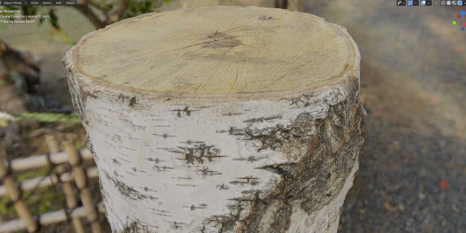 8k birch stump 3D model_22