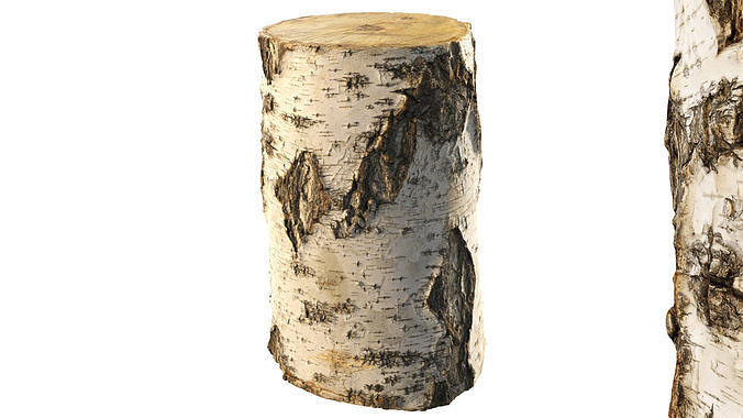 8k birch stump 3D model