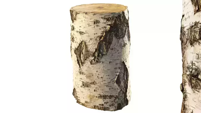 8k birch stump 3D model
