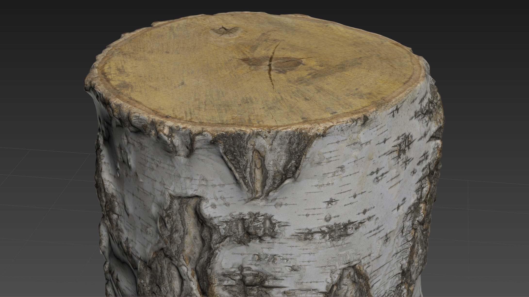 8k birch stump 3D model_14