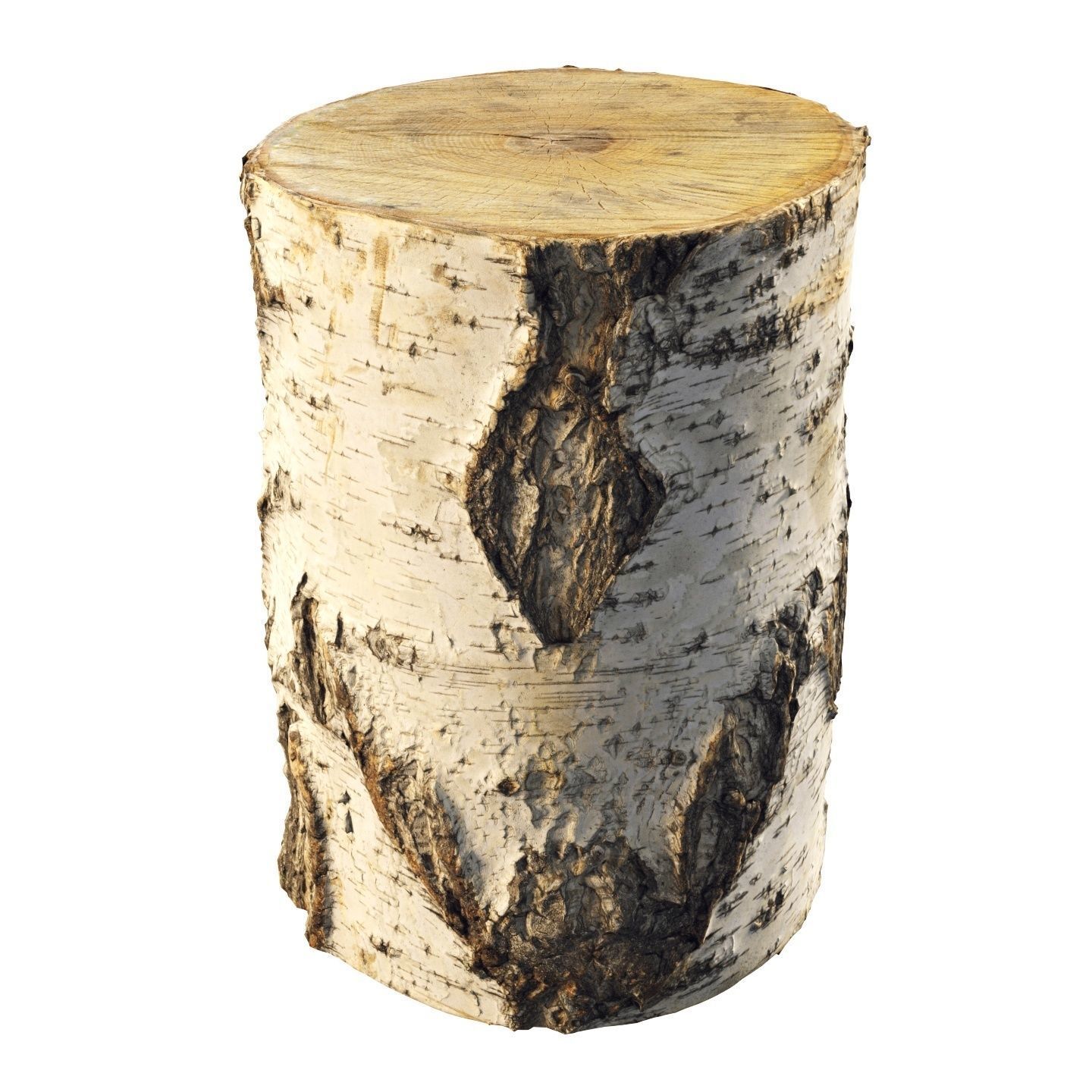 8k birch stump 3D model_3