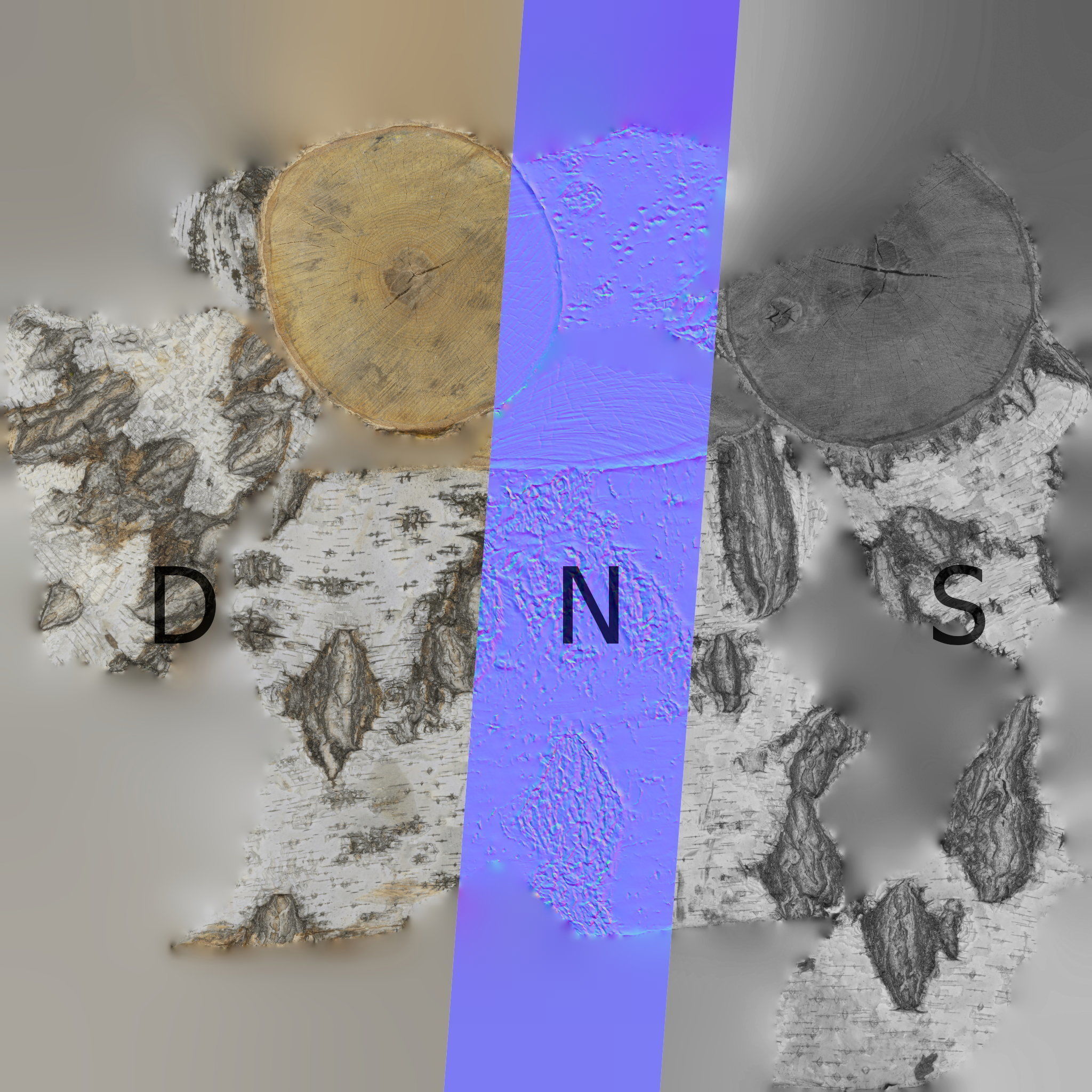 8k birch stump 3D model_17