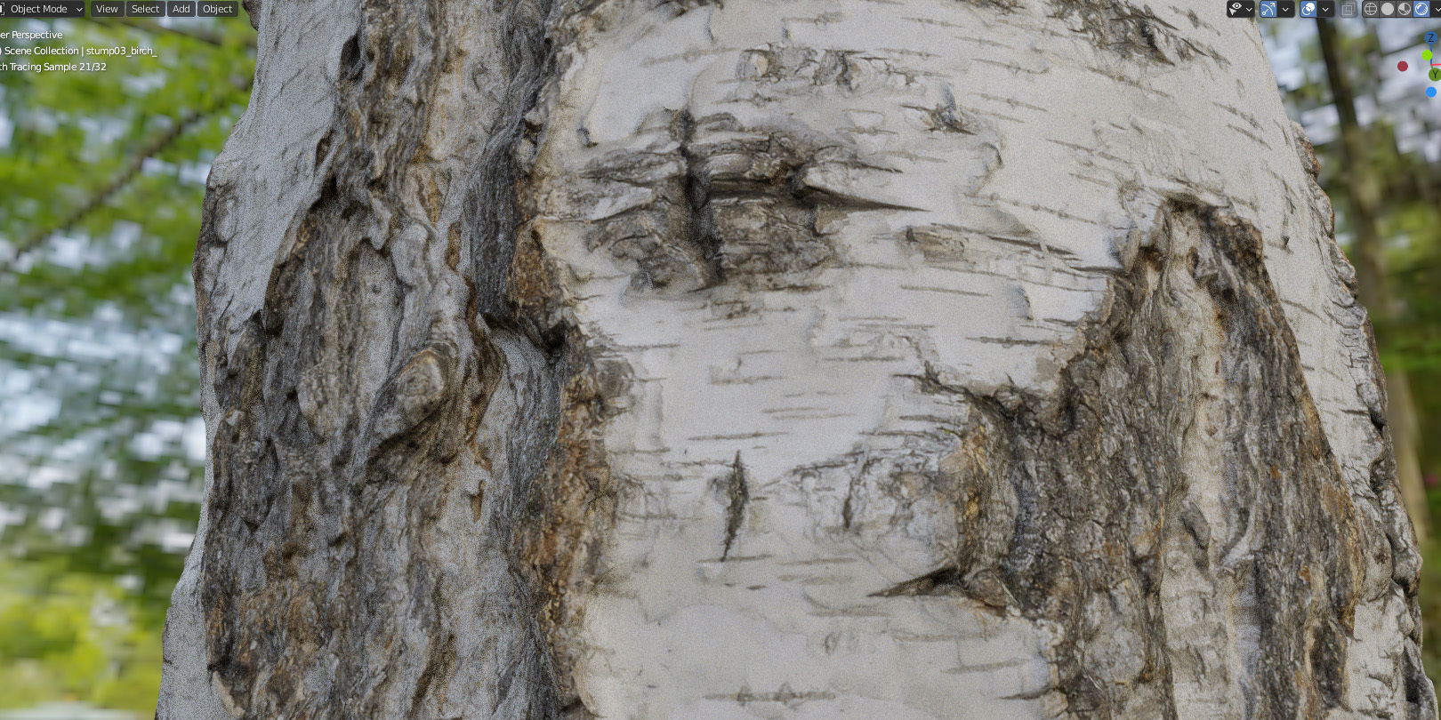 8k birch stump 3D model_21