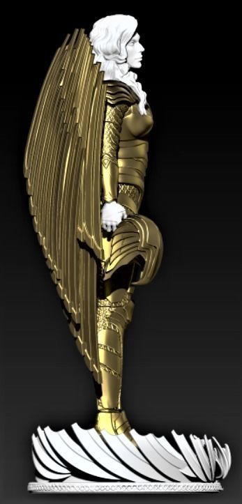 Warrior Wonder Woman 1984 3D print model_3
