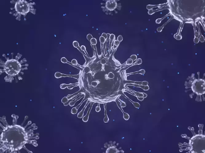 Covid-19 Coronavirus 3D Model