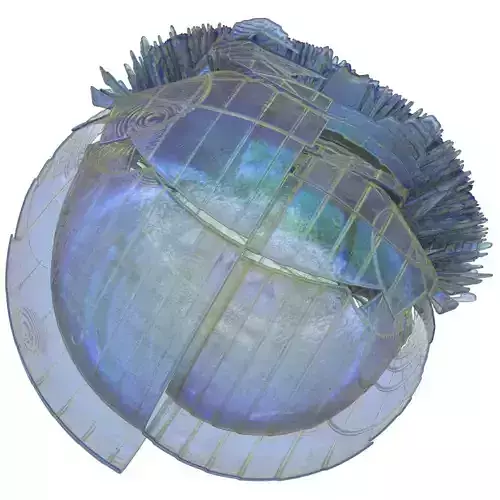 The bat seashell with hole in middle