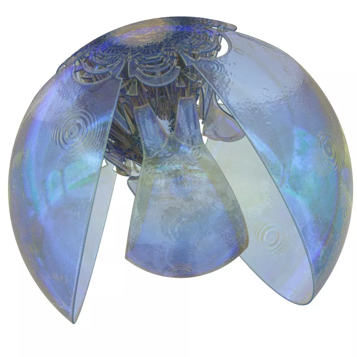 Onion glass jellyfish 3D model