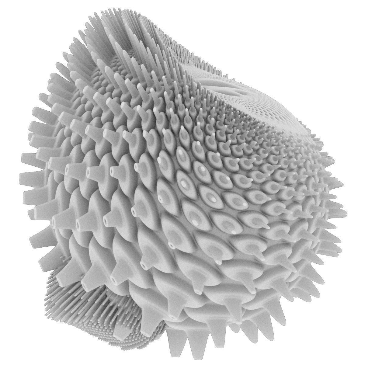 Heart bump 3D model_8