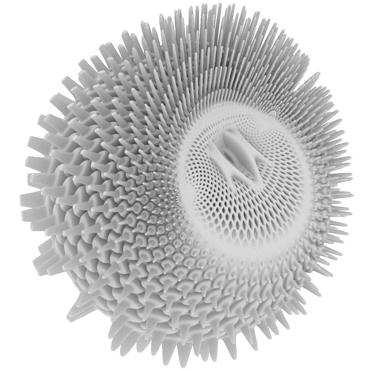 Heart bump 3D model_9