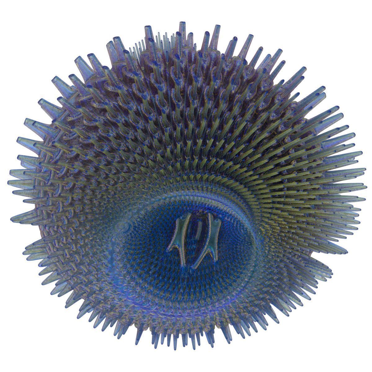 Heart bump 3D model_2