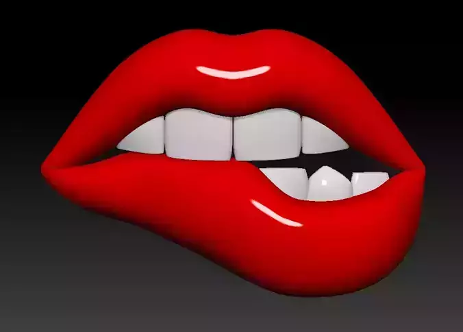 LIPS BITTEN DECOR 3D print model