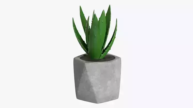 Potted plant decorative 10