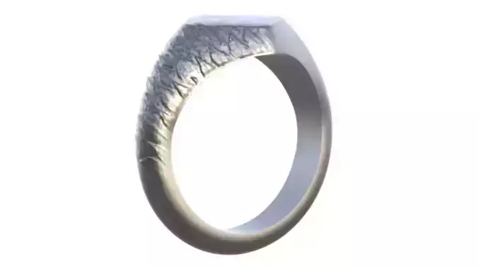 RICH RING 3D PRINTED MODEL 