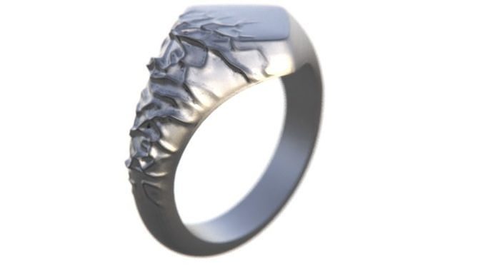 GEORGI RING 3D PRINTED MODEL  3D print model