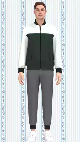 Bomber Jacket Low-poly 3D model