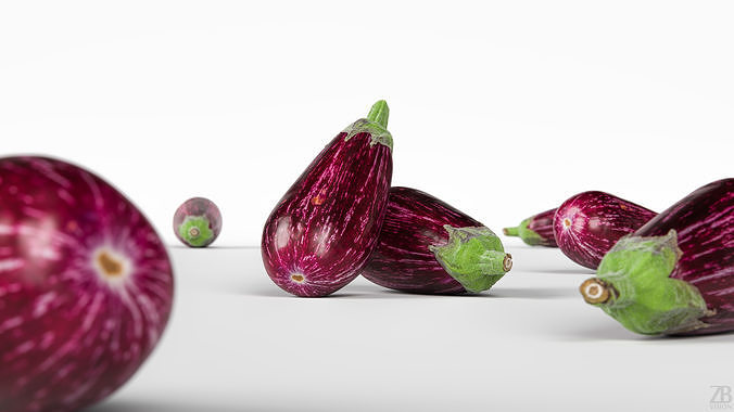 Eggplant 3D model 2