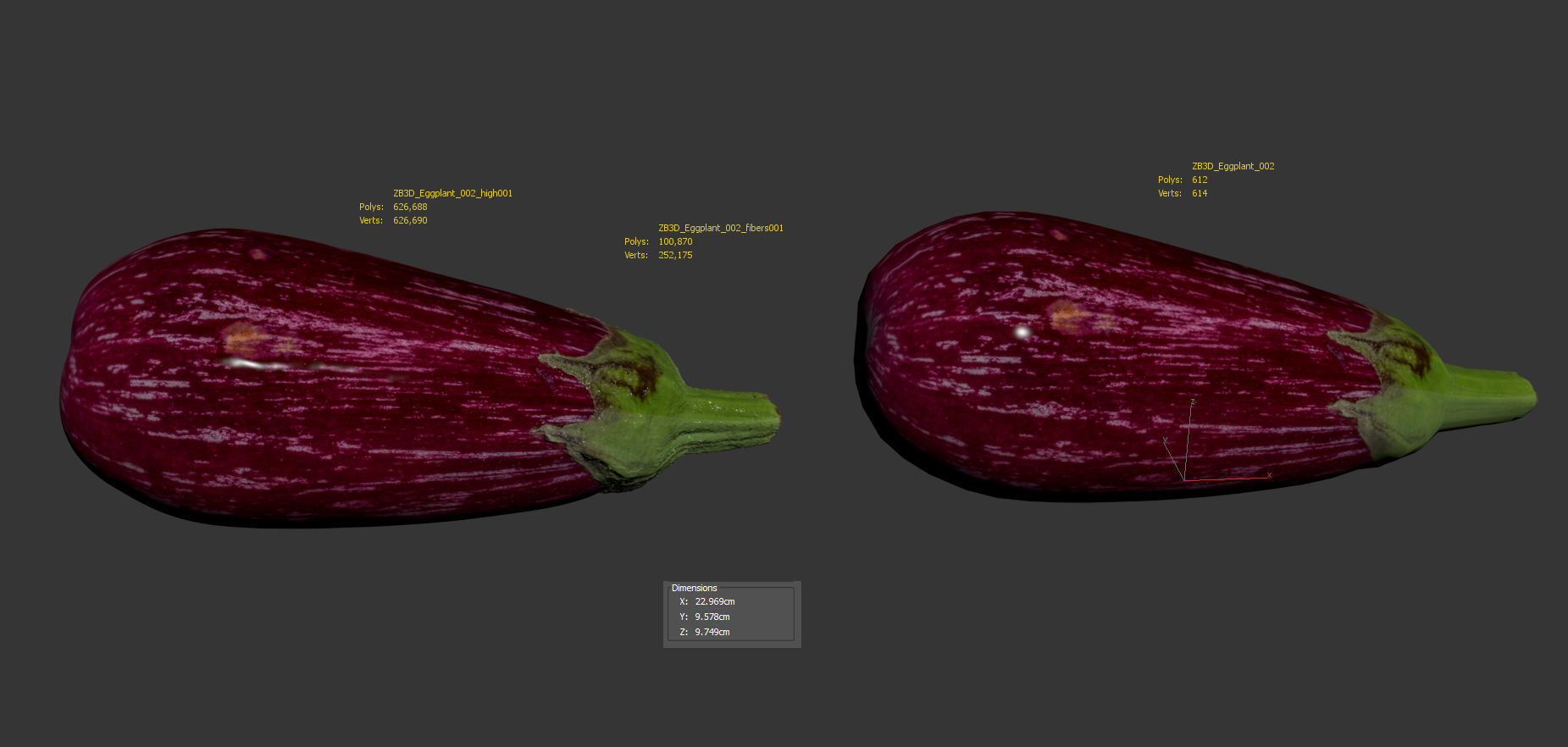 Eggplant 3D model_7