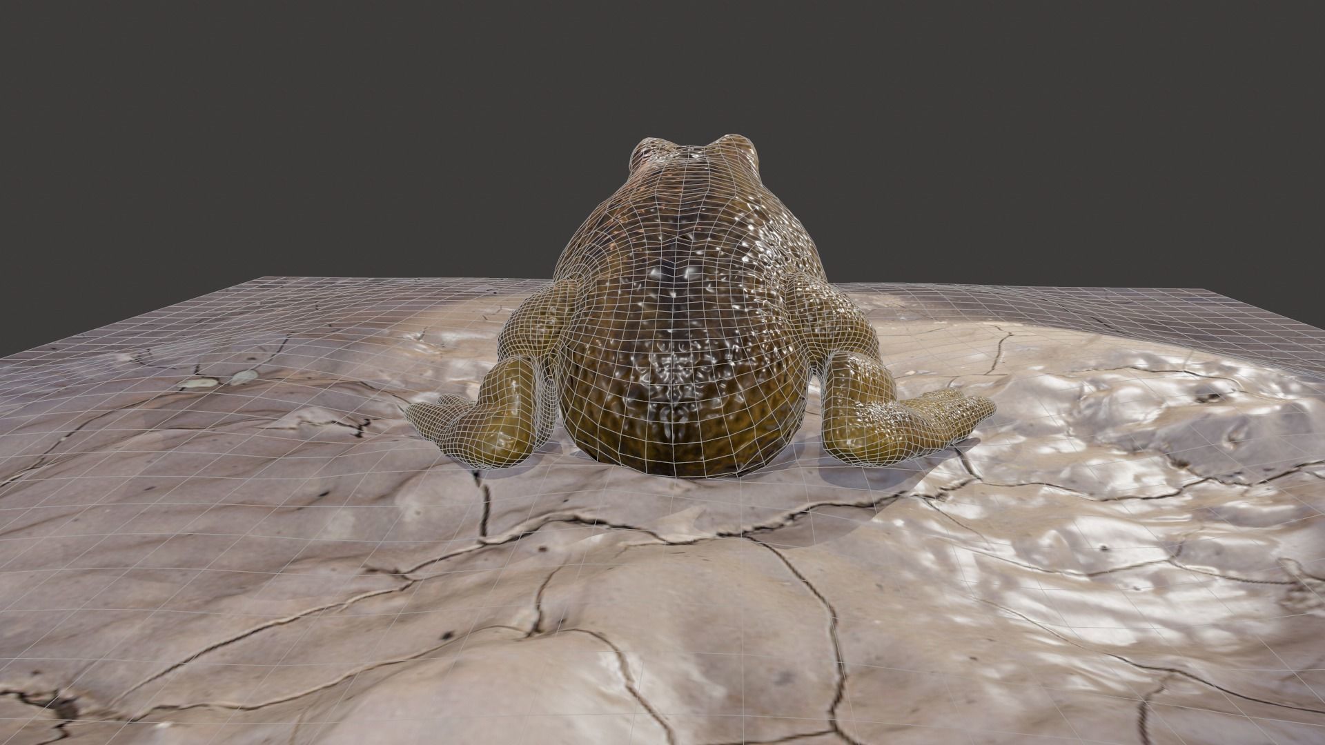 Frog creature Low-poly 3D model_9