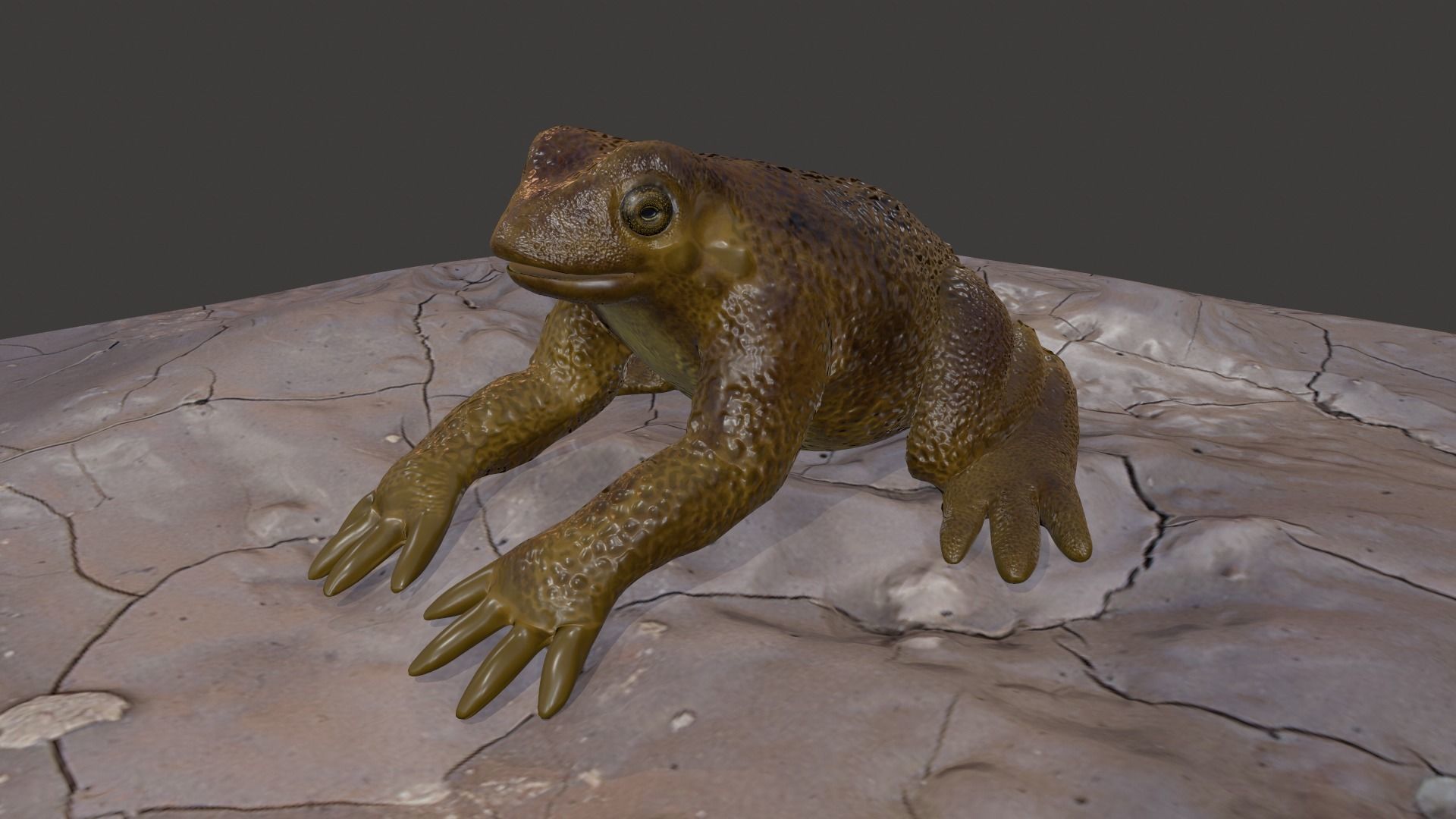 Frog creature Low-poly 3D model_4