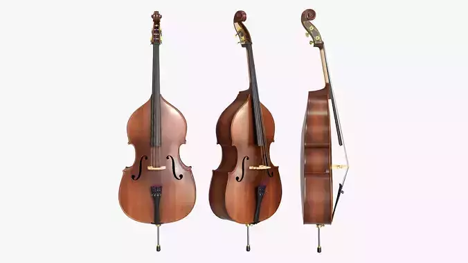 Double bass 01 3D model