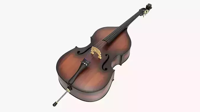 Double bass 02