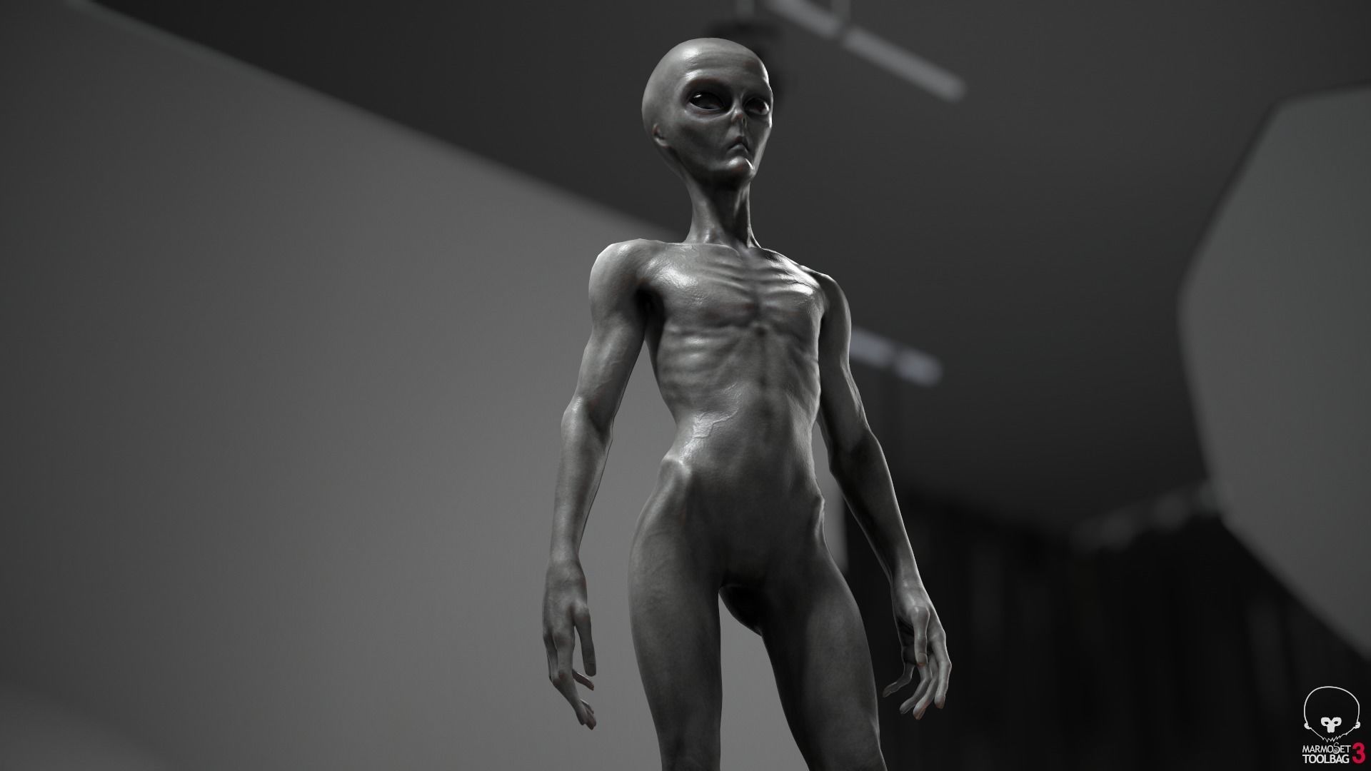 Alien human Low-poly 3D model_20