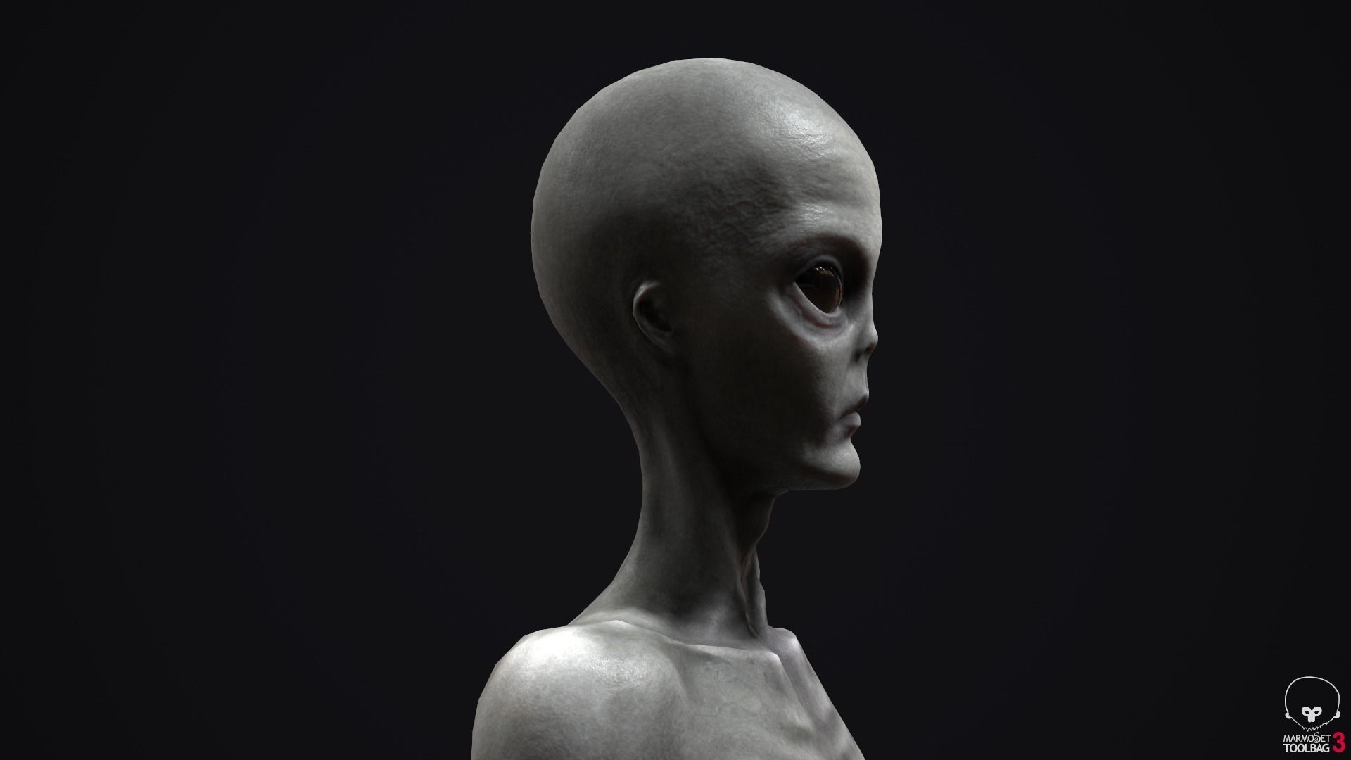 Alien human Low-poly 3D model_16