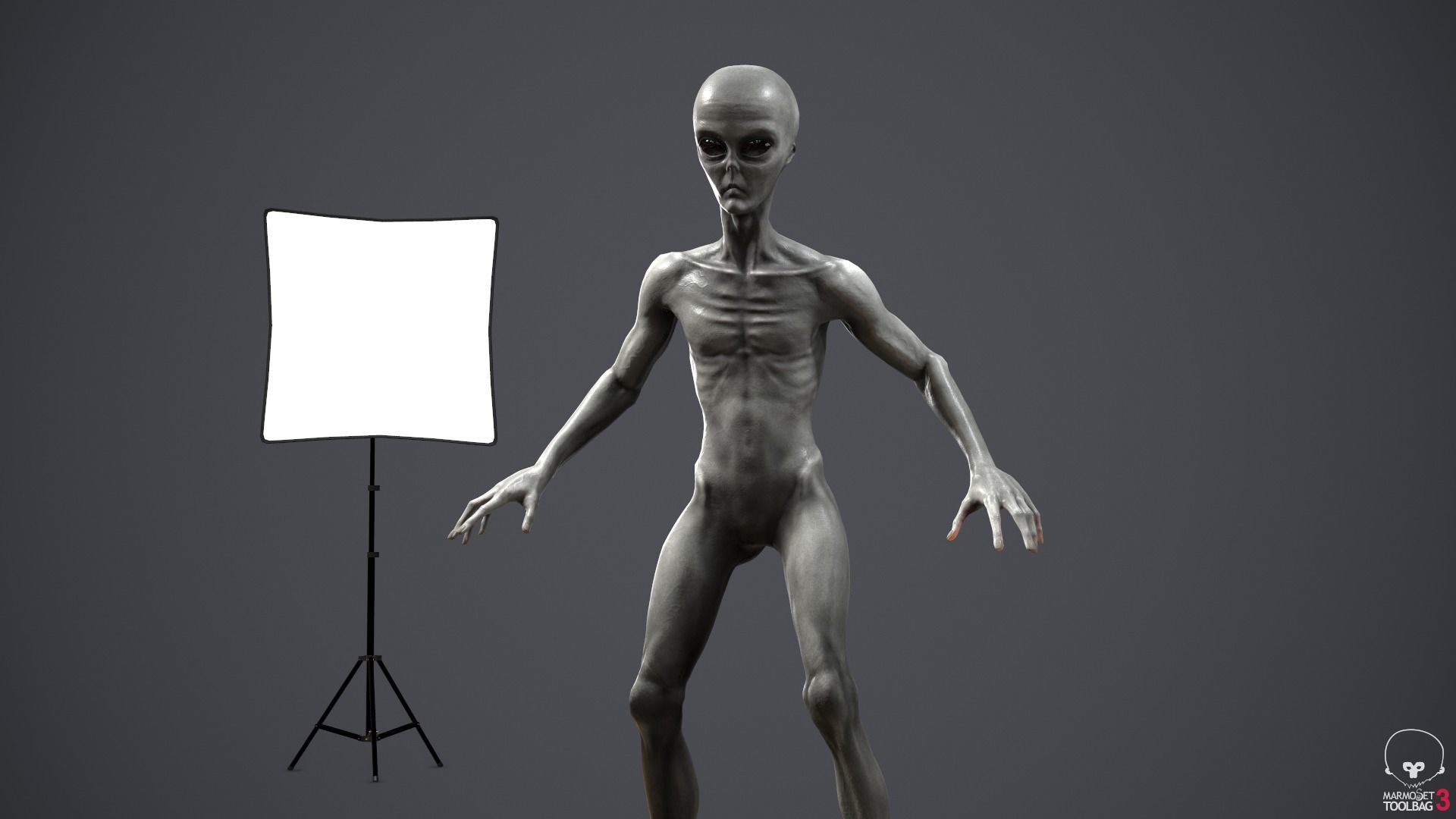 Alien human Low-poly 3D model_18