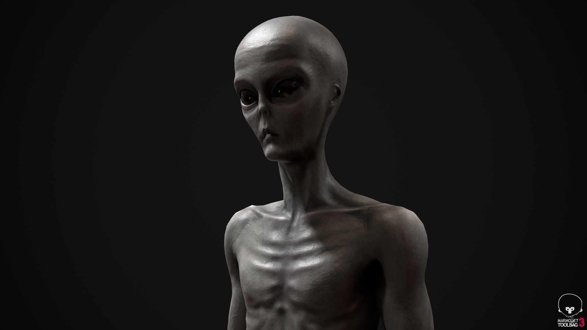 Alien human Low-poly 3D model_8