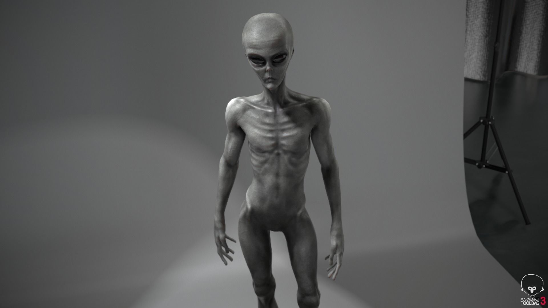 Alien human Low-poly 3D model_19