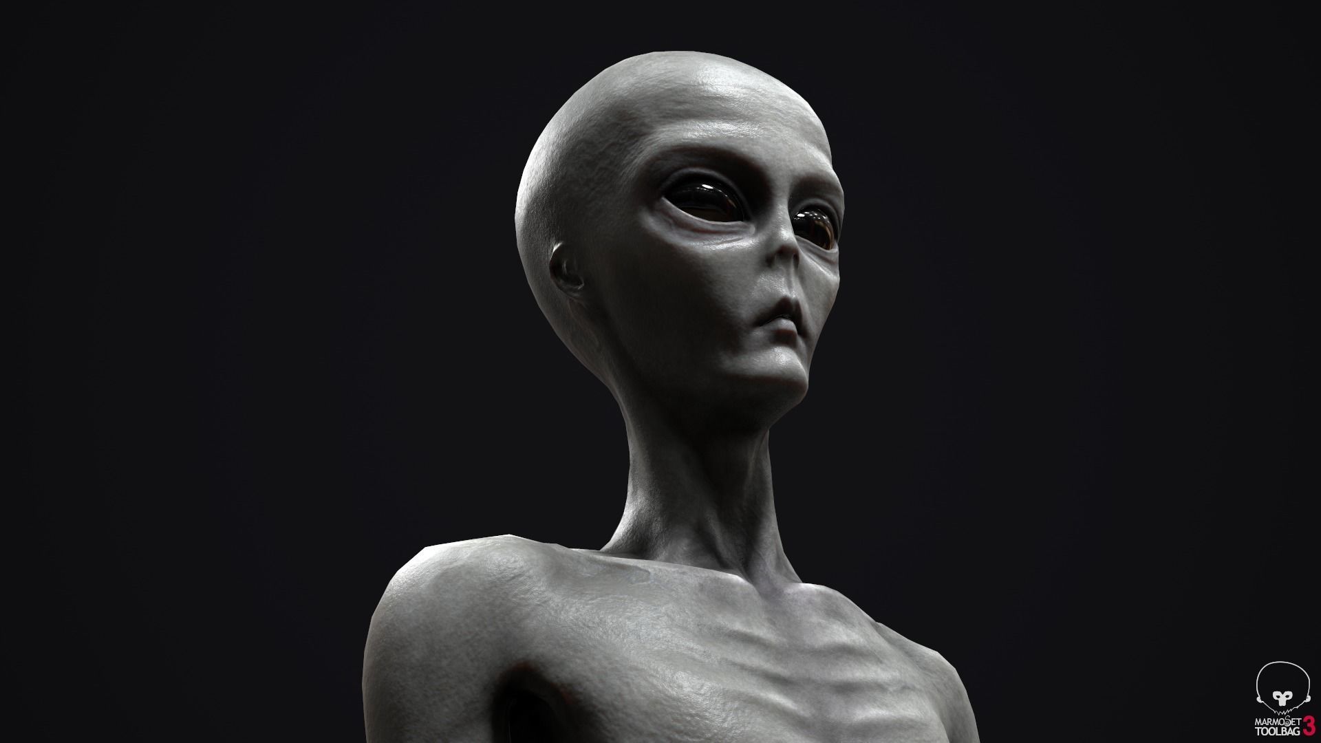 Alien human Low-poly 3D model_17