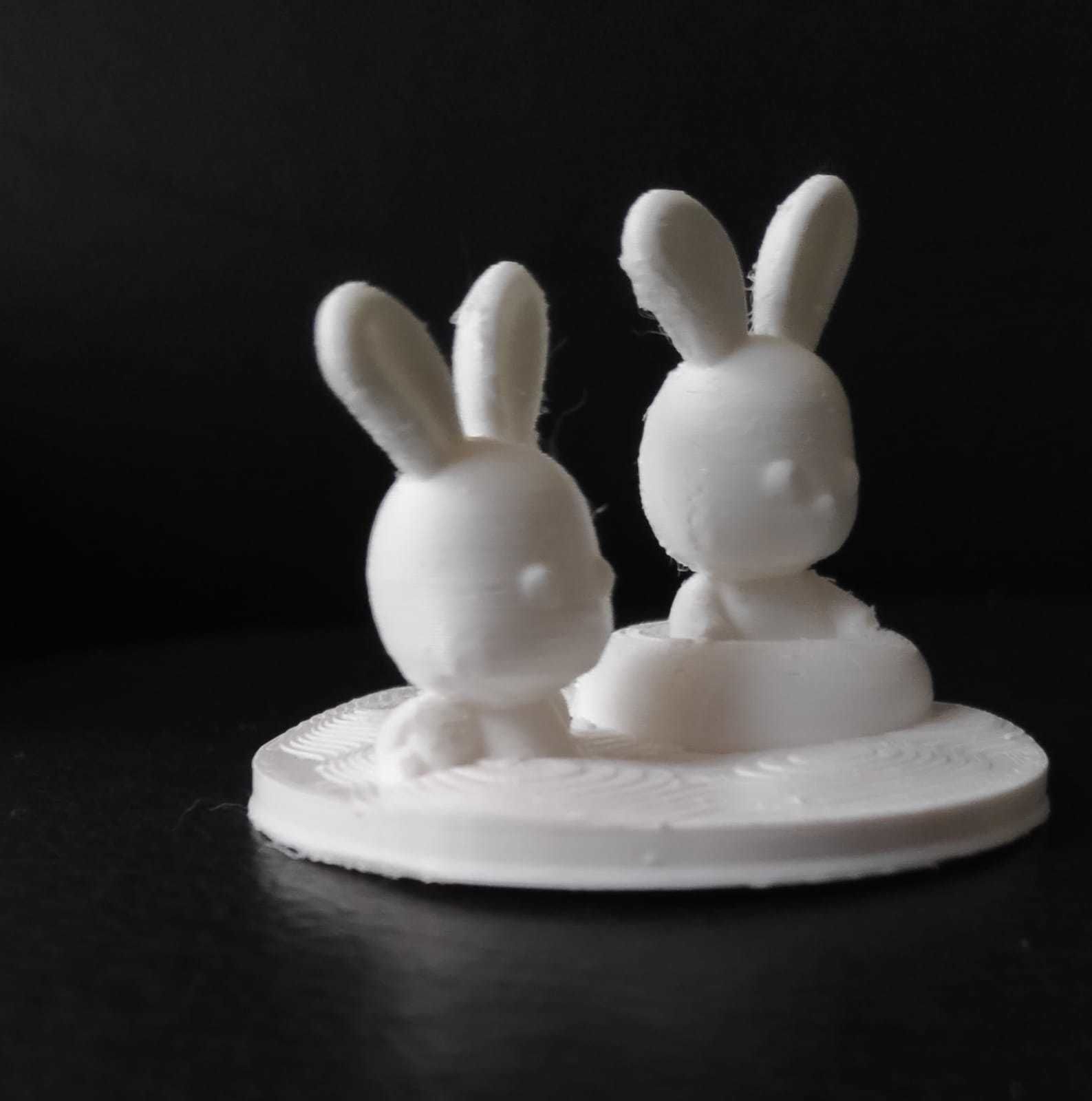 Bunny Swimming 3D print model_6