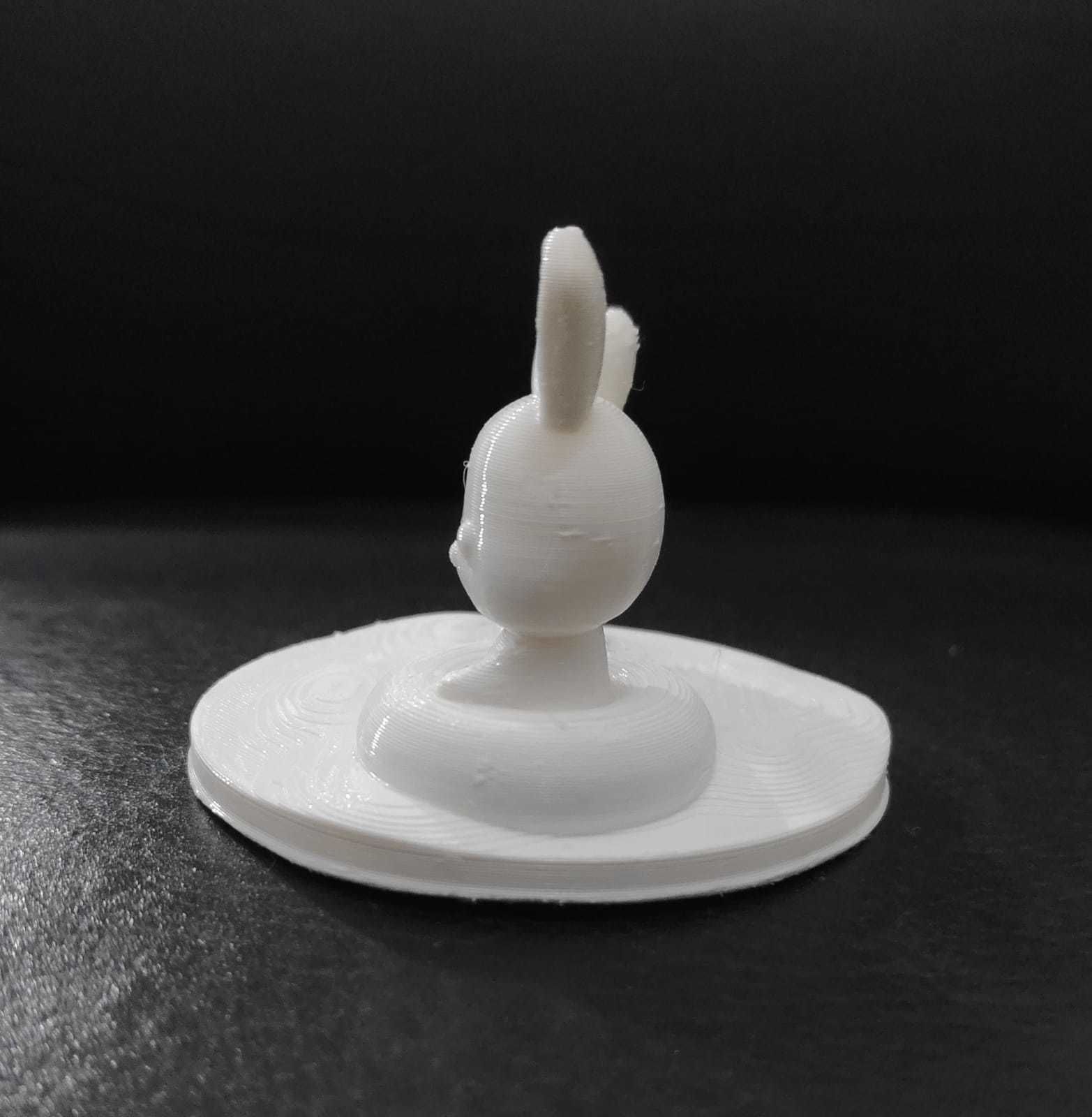 Bunny Swimming 3D print model_10