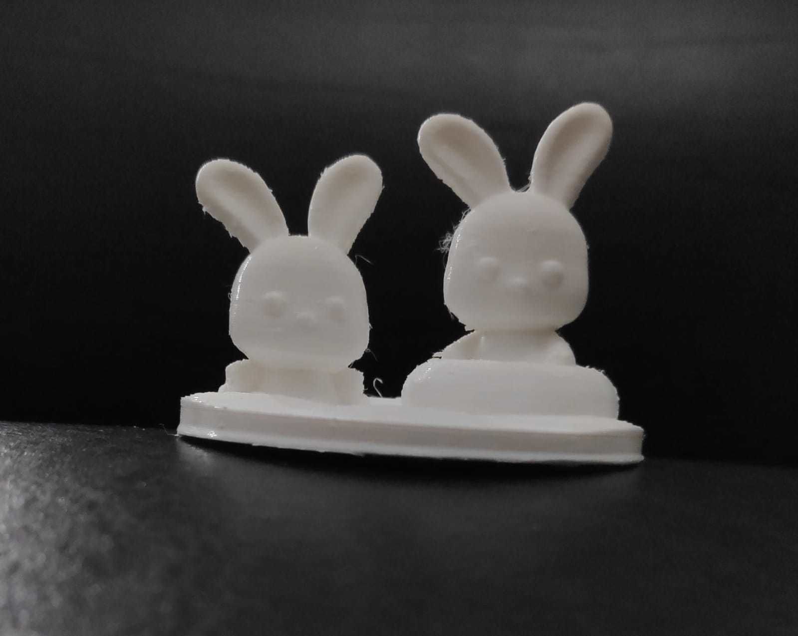 Bunny Swimming 3D print model_9