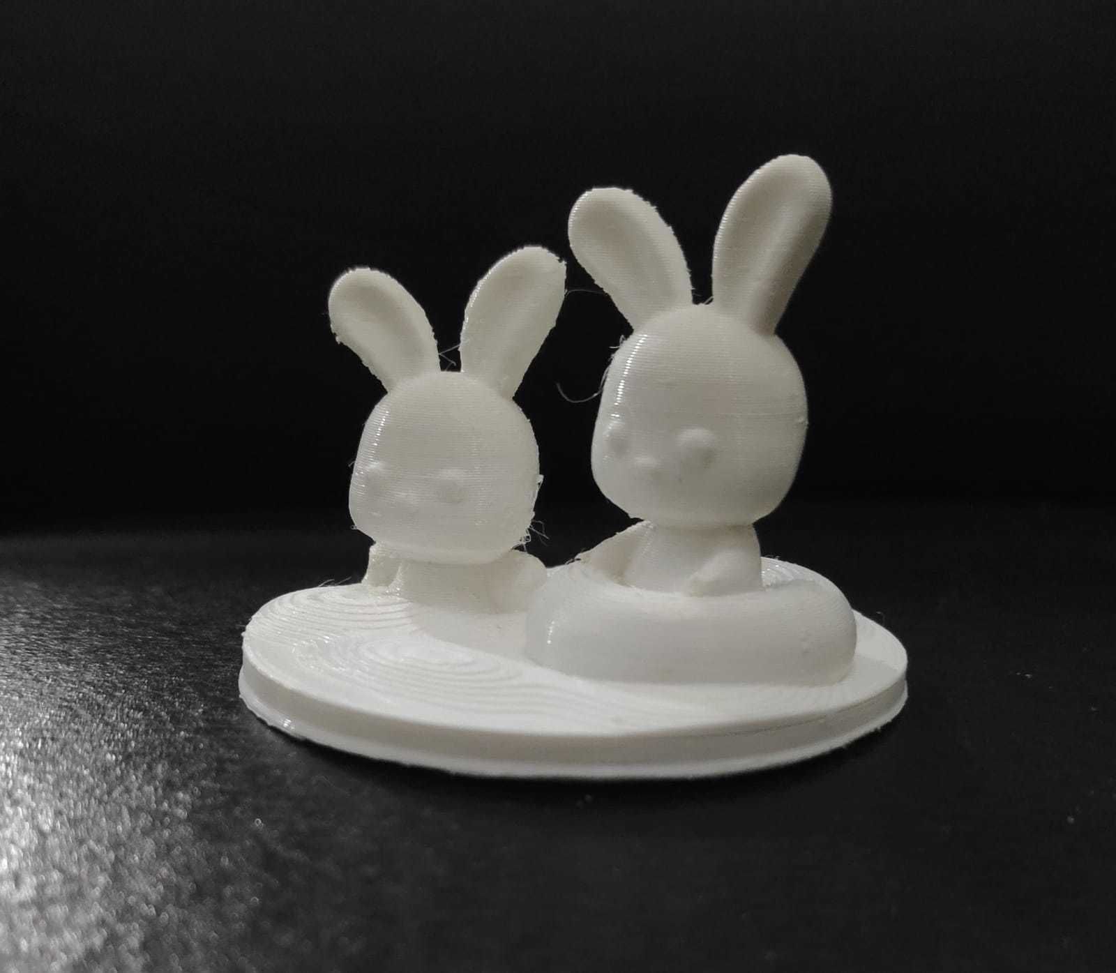 Bunny Swimming 3D print model_5