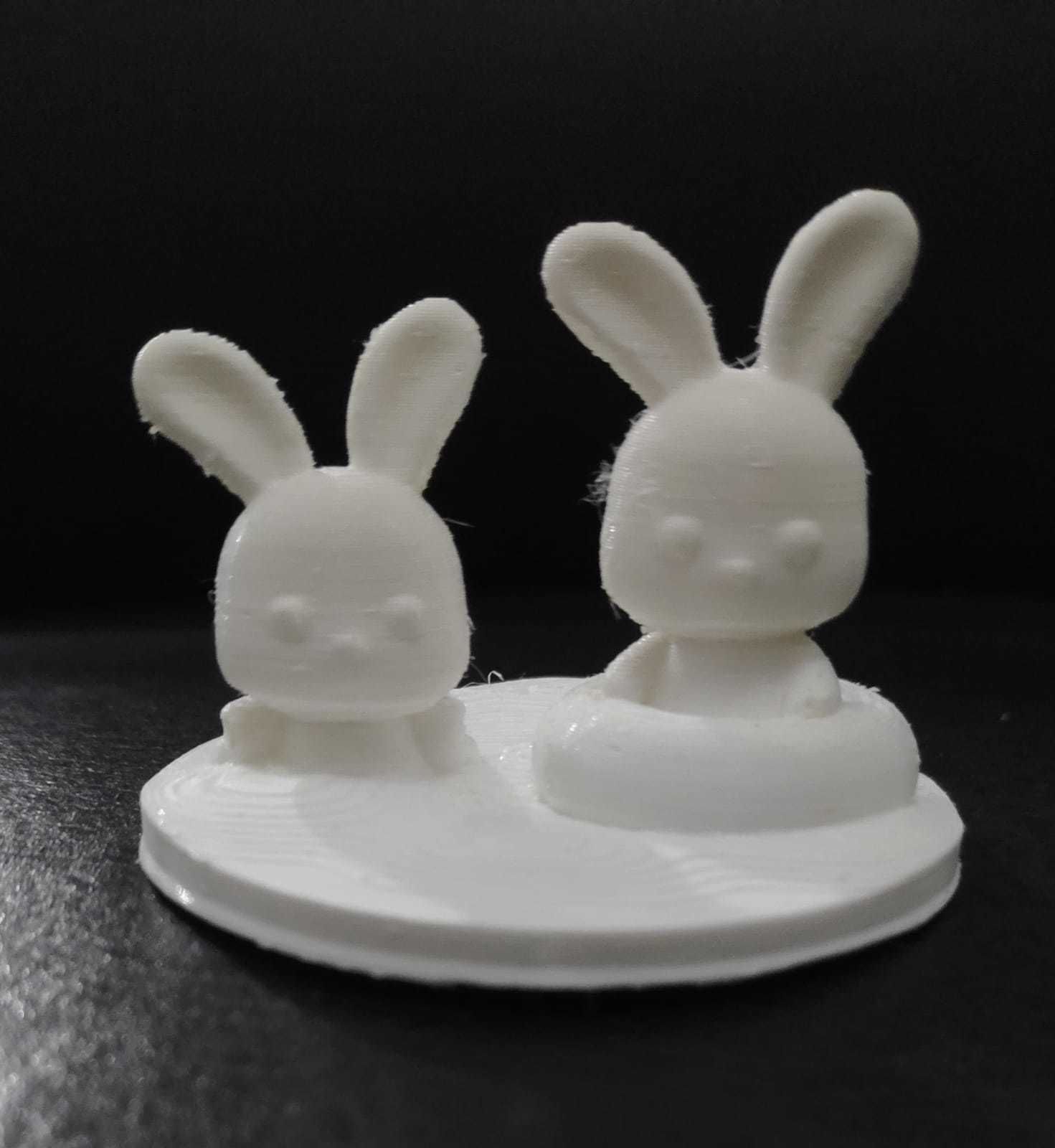Bunny Swimming 3D print model_4