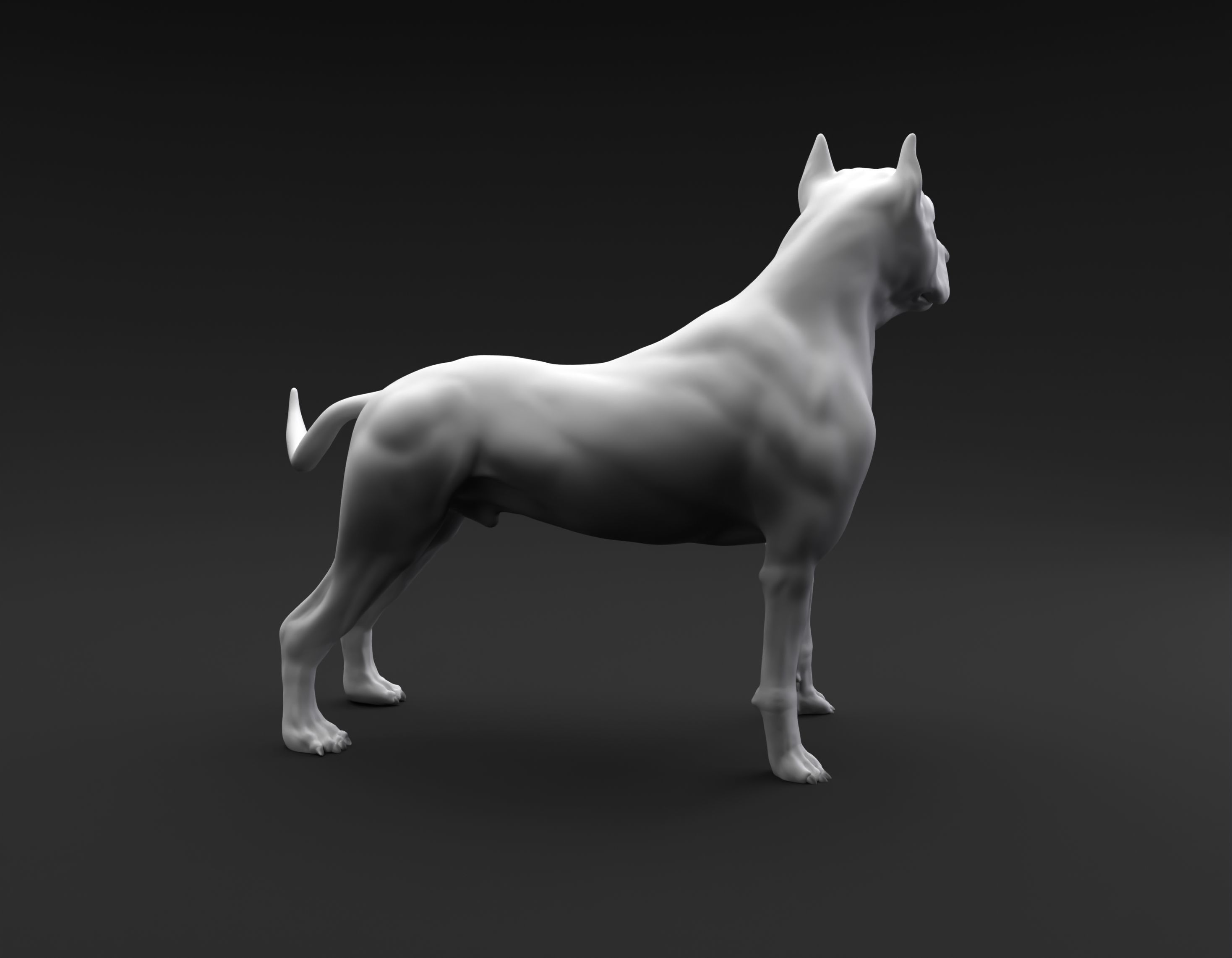 Pit Bull Terrier intended for 3D printing 3D print model_9
