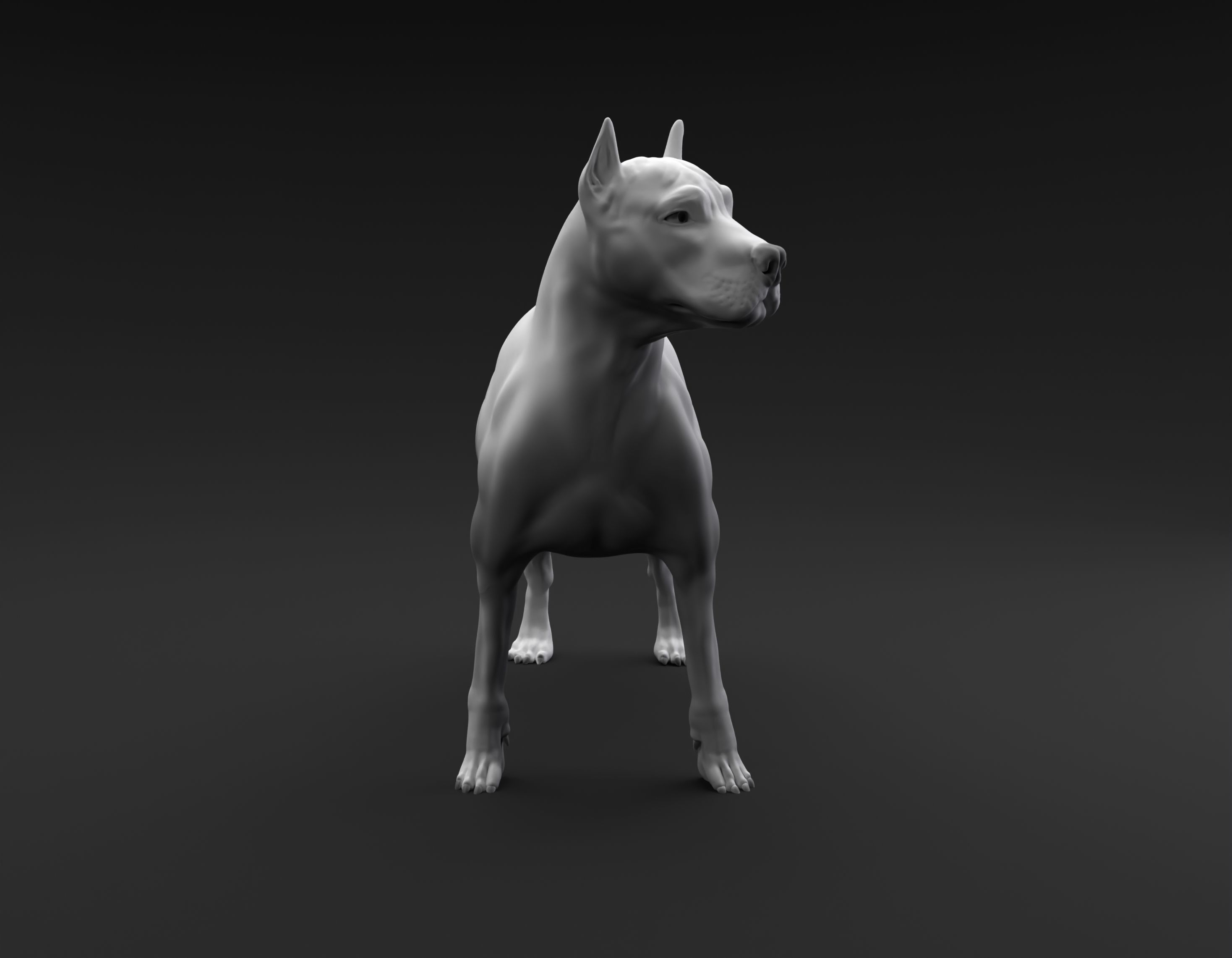 Pit Bull Terrier intended for 3D printing 3D print model_2