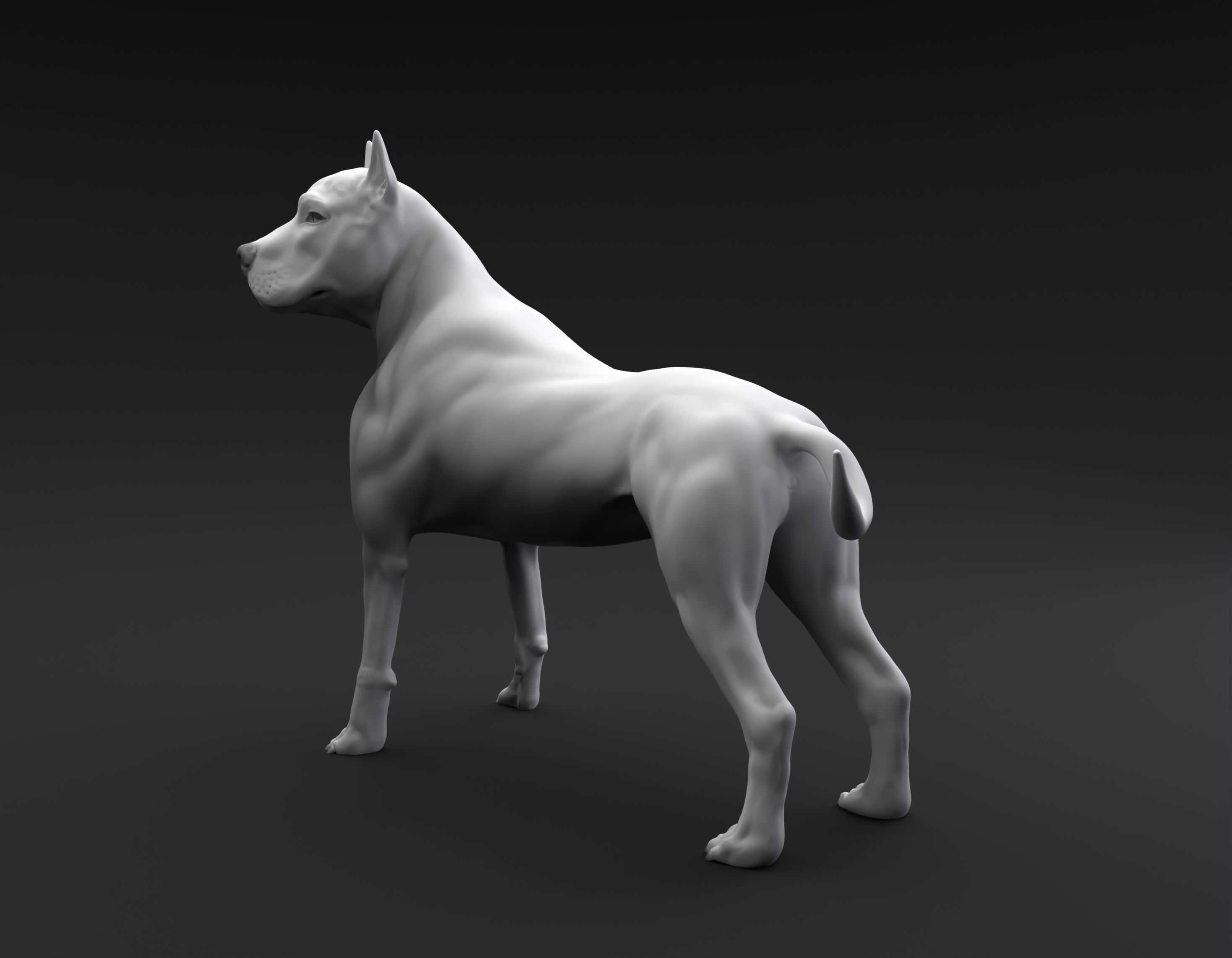 Pit Bull Terrier intended for 3D printing 3D print model_5